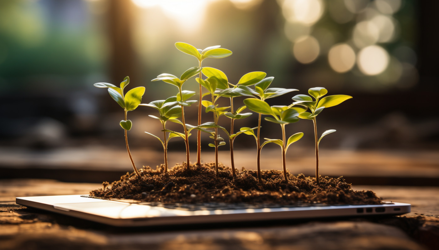 Comment faire prospérer ses activités sur le web ?